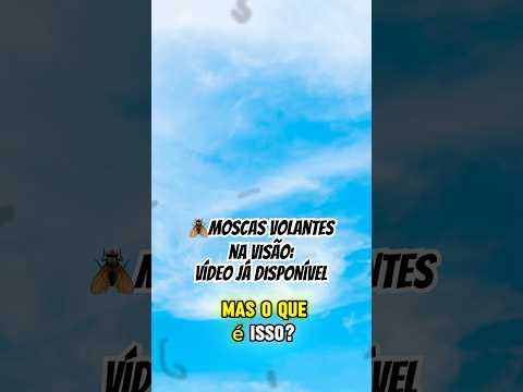 Vc apresenta pontos pretos no campo de visão? #moscavolante