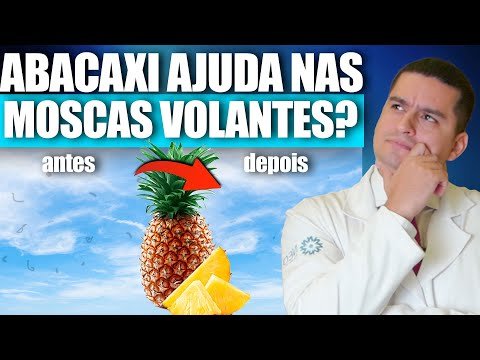 ABACAXI AJUDA NAS MOSCAS VOLANTES?